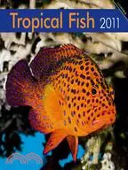 在飛比找三民網路書店優惠-Tropical Fish 2011 Calendar