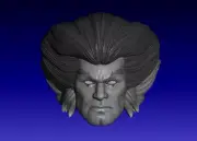 Tygra Thundercats custom head for action figures