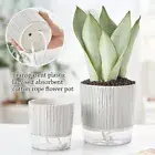 With Water Container Succulent Planter Transparent Planter Garden Supplies