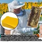 NEW 10Pcs Beeswax Foundation Bee Hive Wax Frames Beekeeping Honeycomb BEST K5C1