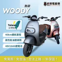 在飛比找momo購物網優惠-【威勝電動車】無敵 WOODY 微型電動二輪車-TSV50(