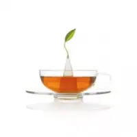 在飛比找博客來優惠-Tea Forte 精緻玻璃茶杯 + 印花茶碟 SONTU 