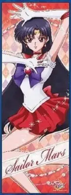 SAILOR MOON CRYSTAL SCOUTS ANIME SM SAILORMOON JUPITER REI HINO MARS POSTER 9