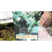 在飛比找蝦皮購物優惠-水果苗  黑金剛大果樹葡萄 (嫁接苗)  8吋盆高50cm黑