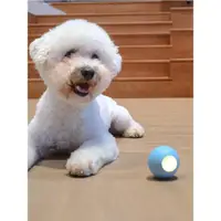 在飛比找ETMall東森購物網優惠-七布寵物狗玩具球自嗨解悶電動陪伴小型犬智能逗狗自己玩狗狗玩具