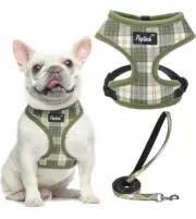 PUPTECK Soft Mesh Dog Harness & Leash Set Dog Cat Comfort Padded Vest Medium