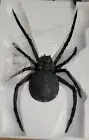 Morgue Sale: HALLOWEEN 34" GIANT black WIDOW wall Spider RETIRED 2012 NIB
