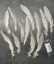 Silver Pheasant Feathers