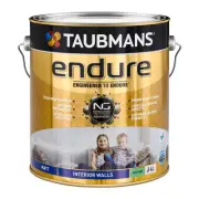 taubmans 4l accent matt endure interior wall paint