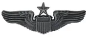Senior Pilot Large Pewter Wings 2 3/4 inch hat lapel pin HON16062 F4D20P