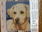 Orchidea needlepoint canvas "Labrador Retriever " #2113D 6" X 6" + yarn