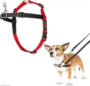 The Company Of Animals Halti Harness for Dogs, Small, Black/Red