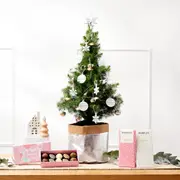 The Chocolate Lovers Christmas Tree Gift Pack