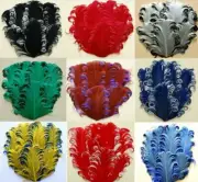 CURLY NAGORIE GOOSE FEATHER PADS: 38 Colors To Choose From!! Headbands/Bridal