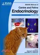 BSAVA MANUAL OF CANINE AND FELINE ENDOCRINOLOGY 4E