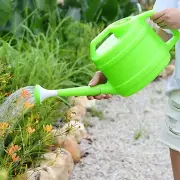 Garden Watering pot 2.5L Flower Watering Can for Flower Garden Flower Plants