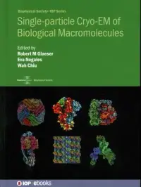 在飛比找博客來優惠-Single-Particle Cryoem of Biol