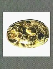 Natural fossilized Shells Agate Turritella loose cabochon Hand Polished Gemstone