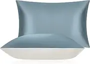 DISANGNI 100% Mulberry Silk Silk Pillowcase, Used for Hair and Skin, Envelope Type, Silk on one Side and Tencel on The Other Side (1pc Standard Size 20" x26" Blue Gray)