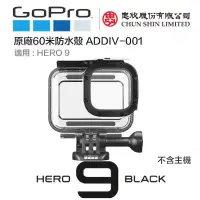 在飛比找樂天市場購物網優惠-【eYe攝影】現貨 忠欣公司貨 GOPRO HERO 9 防