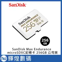 在飛比找Yahoo!奇摩拍賣優惠-SanDisk Max Endurance microSDX