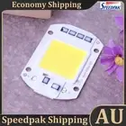 10pcs 50W LEDs Floodlights COB Chip 220V Input Integrated IC (White) AU