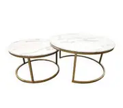 Nested REAL Marble Coffee Table Champagne Gold- 60/45cm set of 2