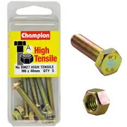 Champion High Tensile Bolts and Nuts BM27, M6 X 40mm