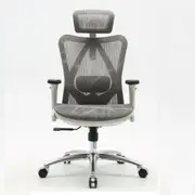 Sihoo M57 Ergonomic Office Chair, Computer Chair Desk Chair High Back Chair Breathable,3D Armrest and Lumbar Support (Grey Frame and Grey Mesh)