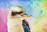 QPuzzles 1000 Piece Jigsaw Puzzle - Kookaburra