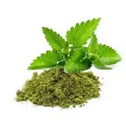 Dried Tulsi Leaves Powder Holy Basil Leaves Ocimum Sanctum - Powder - F/S