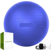 Exercise Ball (65cm) Extra Thick Yoga Ball Chair