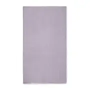 [Brunello Cucinelli] Brunello Cucinelli Translucent Fringe-edge Scarf ONE SIZE PURPLE