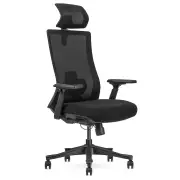 Fitness DM9 Ergonomic Mesh High Back Office Chair