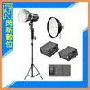GODOX 神牛 ML60 攝影燈+280cm燈架+S65W柔光罩+F980電池x2+充電器 套組(公司貨)【APP下單4%點數回饋】