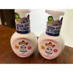 日本獅王LION 趣淨洗手慕斯250ML