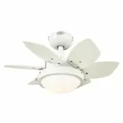 Westinghouse 7224700 Quince LED Ceiling Fan with Light, 24 Inch, White/Beech