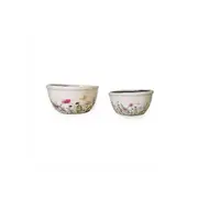 2pc Indoor Ceramic Pot Set Home/Garden Display Decor Wildflower Shallow