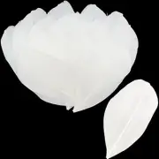 100pcs Feathers 2-3 Inches Small Feathers for Wedding Crafts Party White