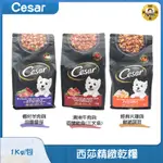 PAY錢貨-CESAR西莎精緻乾糧，乾糧，犬飼料，狗狗最愛，豐富用餐口感，三種口味，1KG