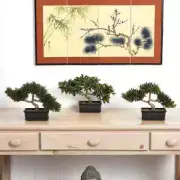 Artificial Bonsai Silk Plant Collection for Office Home Decor 12 In. (Set of 3)