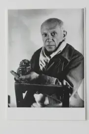 Michel Sima: PABLO PICASSO and the Owl , Art-Postcard NEW