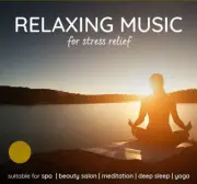 Relaxation Music Spa Music Meditation Nature Music USB Flash Drive MP3 16gb