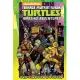 Teenage Mutant Ninja Turtles: Tea-Time for a Turtle