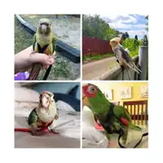 Parrot Bird Harness Leash Outdoor Flying Traction Strap Flying Training Rope Kit for Bird Parrot -R Red