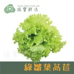 【綠寶鮮活無塵水耕蔬菜】綠皺葉萵苣 (250±10G) / 下單前請先詢問是否有貨 (免洗 沙拉、烤肉、露營、綠拿鐵)