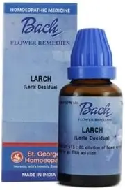 LARCH 100 ML STGEORGE
