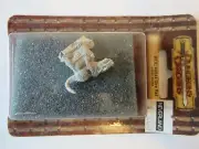 TSR AD&D Dire Rat Dungeons & Dragons blister pack nib HTF pewter