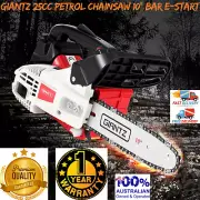 Giantz 25cc Petrol Chainsaw 10 Inch Bar E-Start Tree Pruning Chain Saw Cutter