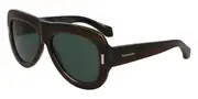 Salvatore Ferragamo SF2029SE 221 Men's Sunglasses Brown Size 57